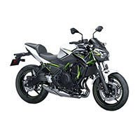 Kawasaki Z650 Fairings Canada