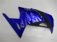 2013-2024 Blue Black White Flame Kawasaki Ninja 300 EX300R Motorcycle Fairings Canada