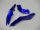 2013-2024 Blue Black White Flame Kawasaki Ninja 300 EX300R Motorcycle Fairings Canada