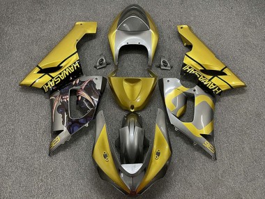 2005-2006 Gold Silver Kawasaki ZX6R Motorcycle Fairings Canada