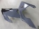 2018-2024 Nardo Grey Kawasaki Ninja 400 Motorcycle Fairings Canada