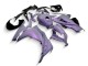 2013-2017 Chameleon Grey Dazz Pearl Purple Kawasaki EX300 Motorcycle Fairings Canada