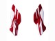2022 White Red Blue Honda CBR400R Motorcycle Fairing Canada