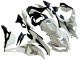 2019-2025 White Silver Green Black Trick Star Kawasaki ZX25R ZX-25R Motorcycle Fairings Canada