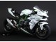 2015-2022 White Silver Green Kawasaki Ninja H2 Motorcycle Fairings Canada