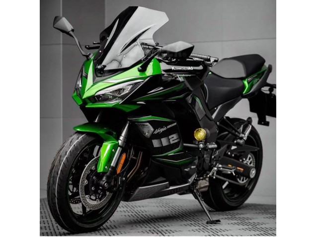 2020-2025 Black Green Ninja Kawasaki Z1000SX Motorcycle Fairing Canada