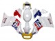 1984-1987 White Red Blue Yellow Motul Michelin Pepsi Suzuki RG400 RG500 RG400/500 Motorcycle Fairings Canada