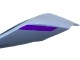 2020-2024 Glossy Grey Purple Glossy Black Ducati Panigale V2 Motorcycle Fairings Canada