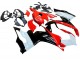 2020-2024 White Red Glossy Black Ducati Panigale V2 Motorcycle Fairing Kits Canada