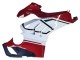 2020-2021 White Red Green Matte Black Ducati Panigale V4 V4S Motorcycle Fairings Canada