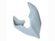 2020-2021 Unpainted Ducati Panigale V4 V4S Motorcycle Fairings Canada