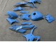 2023-2024 Glossy Blue BMW S1000RR Motorcycle Fairings Canada