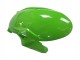 2023-2025 Green Black Kawasaki ZX6R Motorcycle Fairings Canada