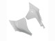 2020-2025 Unpainted Yamaha YZF 1000 R1 Motorcycle Fairing Canada