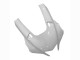 2020-2025 Unpainted Yamaha YZF 1000 R1 Motorcycle Fairing Canada