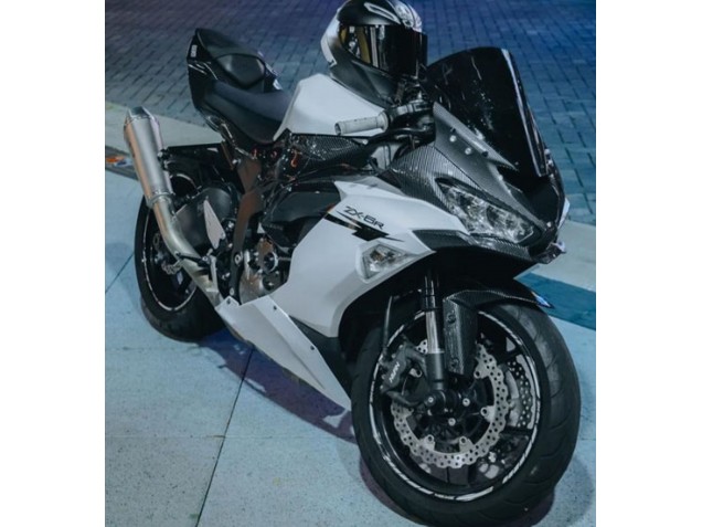 2019-2022 White Black Carbon Fiber Kawasaki ZX6R Motorcycle Fairings Canada