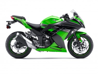 2013-2024 Green Black Kawasaki EX300 Motorcycle Fairing Canada