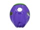 2006-2011 Purple Green Red Aprilia RS125 Motorcycle Fairings Canada