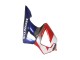 2000-2001 Silver Red Blue Honda CBR900RR 929 Motorcycle Fairings Canada