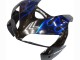 2005-2006 Glossy Black Blue Flame Honda CBR600RR Motorcycle Fairing Canada