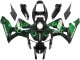 2005-2006 Glossy Black Green Flame Honda CBR600RR Motorcycle Fairings Canada
