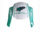 2005-2006 Light Green White Glossy Black JoeRocket Honda CBR600RR Motorcycle Fairings Canada