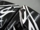 2004-2005 Black White Kawasaki ZX10R Motorcycle Fairings Canada