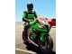 2011-2015 Green Yellow White Black Red Pirelli Kawasaki ZX10R Motorcycle Fairings Canada