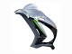 2016-2020 Silver Green Black Kawasaki ZX10R Motorcycle Fairing Canada