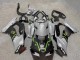 2021-2026 Grey Matte Black Green White Elf Snow Monster Kawasaki ZX10R Motorcycle Fairings Canada