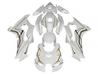 2021-2026 White Gold Kawasaki ZX10R Motorcycle Fairings Canada