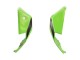 2021-2026 Green Black Red Kawasaki ZX10R Motorcycle Fairings Canada