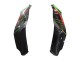 2021-2026 Green Black Red Kawasaki ZX10R Motorcycle Fairings Canada