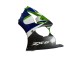 1998-1999 Green White Blue Silver Glossy Black Kawasaki ZX6R Motorcycle Fairings Canada