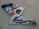 2003-2004 White Blue Red Fiat Kawasaki ZX6R Motorcycle Fairings Canada
