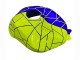 2019-2022 Blue Yellow Kawasaki ZX6R Motorcycle Fairings Canada