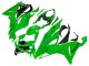 2019-2022 Green Kawasaki ZX6R Motorcycle Fairings Canada