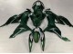 2019-2022 Dark Green Kawasaki ZX6R Motorcycle Fairings Canada