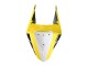 2019-2021 Yellow White Black Stripe Yamaha YZF R3/R25 Motorcycle Fairings Canada