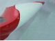 1998-1999 Red White Black Dunlop Yamaha YZF 1000 R1 Motorcycle Fairings Canada