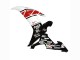 2002-2003 White Red Black Castrol Yamaha YZF 1000 R1 Motorcycle Fairings Canada