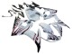 2006-2009 White with Dark Black Flame Yamaha YZF R6S Motorcycle Fairings Canada