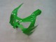 2000-2001 Green Silver Black Kawasaki ZX9R Motorcycle Fairings Canada