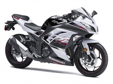 2013-2024 White Black Red Accents Kawasaki EX300 Motorcycle Fairings Canada