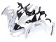2012-2016 White Black Kawasaki EX650 Motorcycle Fairings Canada