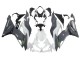 2019-2022 White Grey Green Kawasaki ZX6R Motorcycle Fairings Canada